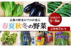 定期便 2回 京都 野菜 6～8種 年2回 旬  京野菜 春 夏 秋 冬 なす とうもろこし トマト ねぎ ごぼう 水菜 鍋 サラダ おかず 京都府 人気 おまかせ 詰め合わせ セット  京印京都南部青果 市場