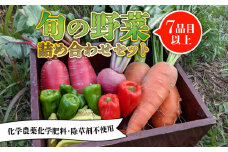 旬のお野菜セット 詰め合わせ （7～10品目） 7月以降 発送 旬 野菜 国産 こだわり 京都府産 京丹波町産 季節 セット 有機肥料 化学農薬不使用 化学肥料不使用 除草剤不使用 おいしい おすすめ 一人暮らし 
