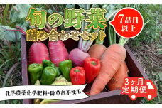 【定期便】旬のお野菜セット 詰め合わせ 3ヶ月定期便（7～10品目） 7月以降 発送 定期便 3か月 3回 旬 野菜 国産 こだわり 京都府産 京丹波町産 季節 セット 有機肥料 化学農薬不使用 化学肥料不使用 除草剤不使用 おいしい おすすめ 一人暮らし 