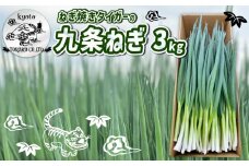 ねぎ焼きタイガーの九条ねぎ 3kg 《2025年11月～12月発送》 ねぎ ネギ 葱 九条ねぎ 九条ネギ 九条葱 野菜 京野菜 農家直送 新鮮 甘さ 甘い 人気 おすすめ ねぎ焼きタイガー 京都 八幡 とらこ