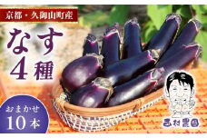 季節限定 京都 なす 4種類 おまかせ 10本 （水なす フルーツなす 千両なす ふわとろ長なす）10000円 1万円 ナス 京都府 夏野菜 天ぷら 揚げ物 マーボー バーベキュー 焼き肉 夏 久御山町 レシピ 人気 野菜 