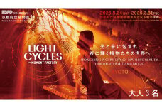 【～2026年3月16日受付】 京都府立植物園 LIGHT CYCLES KYOTO 前売券 大人3枚 チケット イルミネーション プロジェクションマッピング ライトアップ 夜 幻想的 デート イベント 家族 大人 観光 旅行 体験 遊び 関西 京都 植物園 夏休み クリスマス 人気 おすすめ 京都府 ふるさと納税
