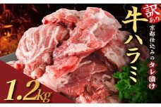 【訳あり】 タレ漬け 牛ハラミ 1.2kg 300g×4P （  肉 牛肉 牛 味付け ハラミ タレ ハラミ肉 BBQ バーベキュー 焼き肉 焼肉 焼肉セット アウトドア キャンプ ギフト パック 小分け 300g 個包装 簡単 便利 冷凍 人気 京都 南丹市 神戸 ミートフーズ ）