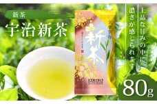 【期間限定】 宇治新茶 宇治煎茶 80g T-15 京都 京都府 お茶 宇治 新茶 緑茶 煎茶 宇治茶 全国農業協同組合連合会 JA