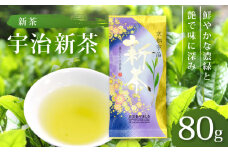 【期間限定】 宇治新茶 宇治煎茶 80ｇ T-20 京都 京都府 お茶 宇治 新茶 緑茶 煎茶 宇治茶 全国農業協同組合連合会 JA