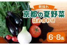 京都 朝獲れ 有機栽培の夏野菜セット 6～8種（有機野菜 野菜セット 有機野菜セット 野菜 詰め合わせ 京野菜 京都 なす トマト コーン ミニトマト きゅうり 野菜 夏野菜 おまかせ 有機 栽培 10000 円 1万円 季節限定 