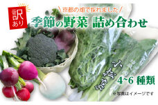 訳あり 京都 季節の野菜 セット 4～6品 詰め合わせ 小松菜 ルッコラ わさび菜 菊菜 ねぎ なす 大根 ブロッコリー トマト 久御山 野菜 サラダ おひたし 鍋  食育 