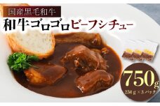 和牛ゴロゴロビーフシチュー 国産黒毛和牛使用 750g 250g × 3袋 ( ビーフシチュー 黒毛和牛 国産 和牛 国産牛 やわらか お肉 肉 牛肉 ビーフ 冷凍 赤ワイン 煮込み デミグラス シチュー 具材ゴロゴロ 洋食 総菜 小分け 簡単 調理 レトルト 一人暮らし ごはん おかず カレー 人気 おすすめ グルメ 神戸ミートフーズ 南丹市 京都 京都府 )