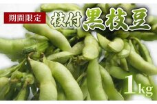 【期間限定】 京都府産 枝付き 黒枝豆 1kg （約500g×2束） 枝豆 えだまめ 京都 おつまみ ビール 夏野菜 夏 サラダ 天ぷら 大豆 旬  黒豆