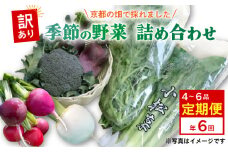 訳あり 定期便 6回 京都 季節の野菜 セット 4～6品 詰め合わせ 小松菜 ルッコラ わさび菜 菊菜 ねぎ なす 大根 ブロッコリー トマト 久御山 野菜 サラダ おひたし 鍋  食育 