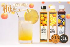 梅ピューレ3種詰め合わせ 3本 セット 315ml ( 無添加 フルーツ 果物 梅 完熟梅 うめ 柚子 ゆず ブルーベリー ジュース 梅ジュース ピューレ シロップ フルーツシロップ 果肉 常温 炭酸水 炭酸割 人気 おすすめ さわやか 濃厚 瓶 贈り物 ギフト プレゼント ヨーグルト 割材 炭酸割 お酒 焼酎 カクテル 京都府 京都 京丹波町 京丹波 )
