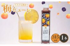 梅ピューレUMEBERRY 1本 315ml ( 梅ピューレ ジュレ 無添加 フルーツ 果物 梅 完熟梅 うめ ブルーベリー ベリー ジュース 梅ジュース ピューレ シロップ フルーツシロップ 果肉 常温 炭酸水 炭酸割 人気 おすすめ さわやか 濃厚 瓶 贈り物 ギフト プレゼント ヨーグルト 割材 炭酸割 お酒 焼酎 カクテル 京都府 京都 京丹波町 京丹波 )