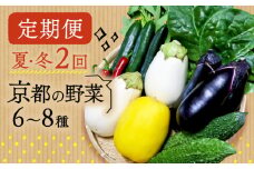 【定期便】2回 夏冬の野菜6～8種 セット 夏 冬 お届け 京野菜 京都 なす 野菜 夏野菜 冬野菜 おまかせ 有機 栽培 年2回 10000 円