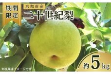 【期間限定】 京都府産 二十世紀梨 約5kg（10玉～16玉入り） （梨 20世紀梨 なし ナシ フルーツ 果物 くだもの 秋 旬 京都 京丹後産 直送 