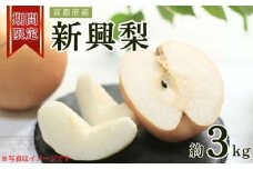 【先行受付】【期間限定】 京都府産 新興梨 約3kg（5玉～8玉入り） (梨 なし ナシ フルーツ 果物 くだもの 旬 秋 京都 京丹後産 直送 