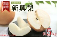 【先行受付】【期間限定】 京都府産 新興梨 約5kg（6玉～14玉入り） 梨 なし ナシ フルーツ 果物 くだもの 梨 秋 京都 京丹後産 直送 
