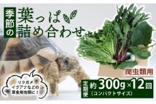 【爬虫類用】【定期便12回】 季節の葉っぱ詰め合わせ セット 約 300g コンパクトサイズ ( 定期便 12カ月 草食 雑食 爬虫類 動物 ペットフード ペット リクガメ カメ イグアナ ごはん ご飯 おやつ 野菜 葉 葉野菜 旬 栄養 安心 新鮮 きよしファーム 南丹市 京都府 京都 )