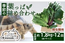 【爬虫類用】【定期便12回】 季節の葉っぱ詰め合わせ セット 約 1.8kg 80サイズ ( 定期便 12カ月 草食 雑食 爬虫類 動物 ペットフード ペット リクガメ カメ イグアナ ごはん ご飯 おやつ 野菜 葉 葉野菜 旬 栄養 安心 新鮮 きよしファーム 南丹市 京都府 京都 )