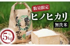 【先行予約】 令和7年度産 ヒノヒカリ 一等米 無洗米 5kg 京都 お米  ごはん つや 5キロ 白米 おいしい ブランド 久御山 ひのひかり【数量限定】