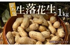 【期間限定】【訳あり】 落花生 1kg 京都府産 久御山町 おつまみ おやつ らっかせい 豆 殻 畑 京都 久御山町 藤村農園 wave village 