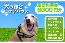 犬専用総合ケアハウス 施設利用券 6000円分 愛犬愛護活動 ( 愛犬 ケア ドッグホテル ドッグラン ドッグカフェ トリミング ペット 犬 いぬ 犬専用 宿泊 ホテル チケット ケアサービス チャリティ 動物支援 動物福祉 保護活動 動物愛護 愛犬愛護 京都府 京都 京丹波町 老犬ホームあん ) 