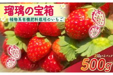 【2026年3月～5月発送】 いちご 500g 瑠璃の宝箱 250g 2パック 有機JAS 植物系有機肥料のみ イチゴ 苺 オーガニックイチゴ ストロベリー ベリー フルーツ 果物 甘い 国産 ブランド 産地 直送 フレッシュ 人気 おすすめ ふるさと納税 京都 八幡 八幡市 かみむら農園