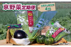 【 4回定期便 】 京野菜 野菜 6種 程度 定期便 4回 詰め合わせ 京都 野菜セット 季節 旬 栄養食 栄養野菜 九条ネギ 万願寺 賀茂なす 京都府産 数量限定 冷蔵 サラダ 健康 BBQ バーベキュー 健康食品 緑黄色野菜 美肌 美容 ふるさと納税 ギフト ギフト用 贈答 贈答用 贈答品 贈り物 お中元 お歳暮 サラダ 農家直送 産地直送 新鮮 人気 おすすめ リピーター