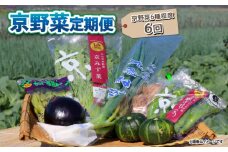 【 6回定期便 】 京野菜 野菜 6種 程度 定期便 6回 詰め合わせ 京都 野菜セット 季節 旬 栄養食 栄養野菜 九条ネギ 万願寺 賀茂なす 京都府産 数量限定 冷蔵 サラダ 健康 BBQ バーベキュー 健康食品 緑黄色野菜 美肌 美容 ふるさと納税 ギフト ギフト用 贈答 贈答用 贈答品 贈り物 お中元 お歳暮 サラダ 農家直送 産地直送 新鮮 人気 おすすめ リピーター