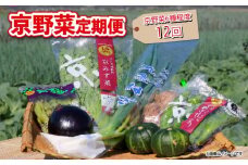 【 12回定期便 】 京野菜 野菜 6種 程度 定期便 12回 詰め合わせ 京都 野菜セット 季節 旬 栄養食 栄養野菜 九条ネギ 万願寺 賀茂なす 京都府産 数量限定 冷蔵 サラダ 健康 BBQ バーベキュー 健康食品 緑黄色野菜 美肌 美容 ふるさと納税 ギフト ギフト用 贈答 贈答用 贈答品 贈り物 お中元 お歳暮 サラダ 農家直送 産地直送 新鮮 人気 おすすめ リピーター