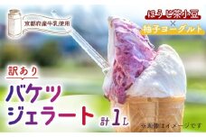 【訳あり】　特製バケツジェラート 1L 【ほうじ茶小豆×柚子ヨーグルト】 2種類の味 ( ジェラート アイスクリーム アイス バケツアイス 業務用アイス 業務用ジェラート 業務用 バルク 大容量 ほうじ茶 小豆 あずき 柚子 ゆず ヨーグルト 訳あり 野菜 果物 フルーツ デザート スイーツ 家庭用 冷凍 おすすめ きよしファーム 南丹市 南丹 京都府 京都 )