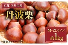 【期間限定】 丹波栗 1kg M~2Lサイズ混合 ( 栗 くり 無消毒 国産 大粒 スイーツ 果物 秋 旬 丹波くり 生栗 和栗 南丹市 京都府 京都 )