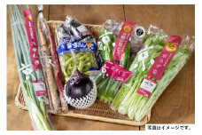 【JA全農京都】季節の京野菜セット