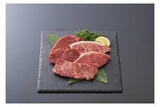 【京のお肉処 弘】弘牛・京都丹波牛 希少部位ステーキセット 530g