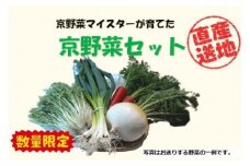 先行予約【京やさい佐伯】京野菜セット ＜数量限定＞