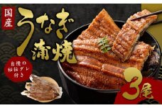 【うなぎ玄】伏見の名水仕込み 国産備長炭うなぎ蒲焼き3本セット