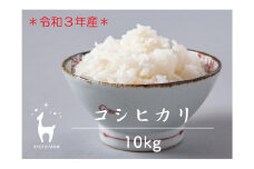 【京都ファーム】令和３年産 京都ファームのコシヒカリ 精米10kg