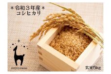【京都ファーム】令和３年産 京都ファームのコシヒカリ 玄米5kg