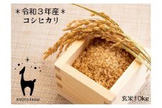 【京都ファーム】令和３年産 京都ファームのコシヒカリ 玄米10kg