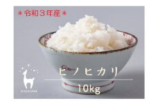 【京都ファーム】令和３年産 京都ファームのヒノヒカリ 精米10kg