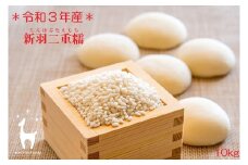 【京都ファーム】令和３年産 京都ファームのもち米 新羽二重糯10kg