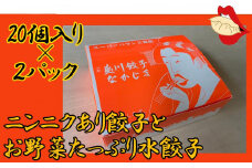 【夷川餃子なかじま】京都特産ぽーく「ニンニクあり餃子とお野菜たっぷり水餃子」のセット