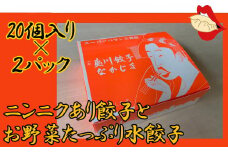 【夷川餃子なかじま】京都特産ぽーく「ニンニクあり餃子とお野菜たっぷり水餃子」のセット