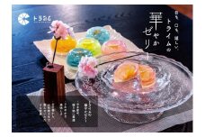 【トライム】フラワーゼリー「雅」6個入り［ 京都 スイーツ かわいい お花 映え 人気 おすすめ お取り寄せ 通販 送料無料 ふるさと納税 ］