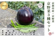 【注文後1～2週間後にてお届け】京野菜「3種セット」賀茂茄子・万願寺とうがらし・伏見とうがらし