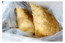 【 たけのこ旬一 】朝掘り塚原産たけのこ2kg［ 京都 塚原 京たけのこ 筍 ミシュラン テレビで紹介 人気 おすすめ お取り寄せ 通販 ふるさと納税 ］