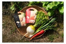 【新食工業】京野菜入りこだわりセット（鍋の素・京野菜・スムージー）