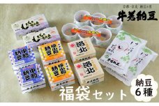 【牛若納豆】福袋セット（6種類・合計32パック）
