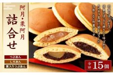 【京阿月】＜日本ギフト大賞2020「京都賞」受賞＞１５個入 阿月・栗阿月詰合せ［ 京都 スイーツ どら焼き おいしい 人気 おすすめ お取り寄せ お菓子 和菓子 ］