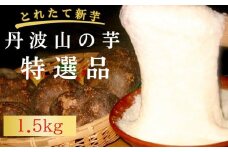 【芋家なか吉】プレミアム丹波山の芋特選品1.５kg［ 京都 芋 いも イモ 新鮮 野菜 人気 おすすめ お取り寄せ 通販 ふるさと納税 ］