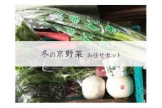 【京野菜・果物 美方屋】創業70年 美方屋厳選！季節の京野菜お任せセット